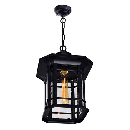 1 Light Outdoor Pendant, Black/Seedy