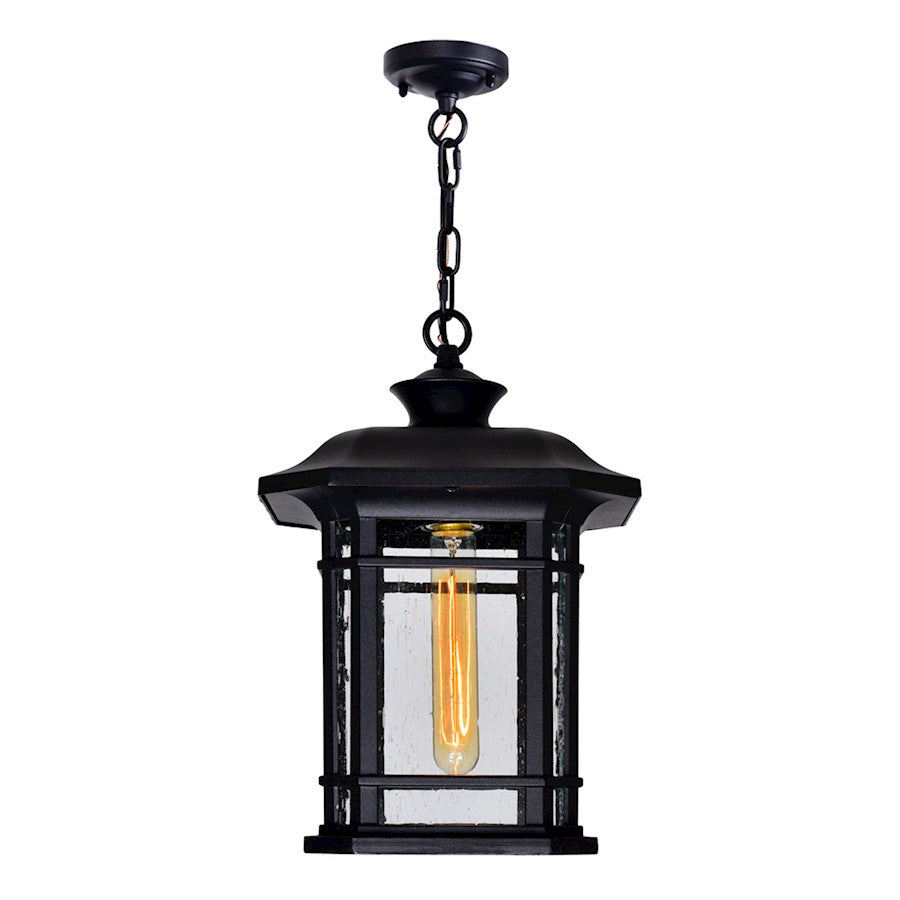 1 Light Outdoor Pendant, Black/Seedy