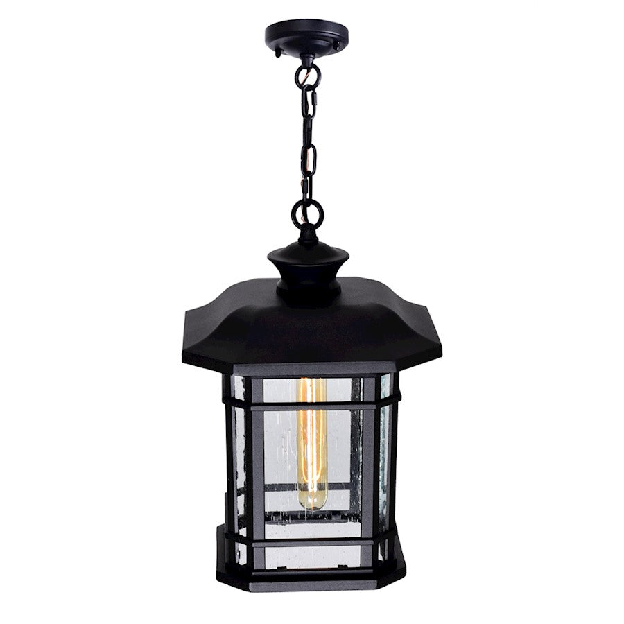 1 Light Outdoor Pendant, Black/Seedy