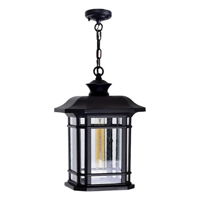 1 Light Outdoor Pendant, Black/Seedy