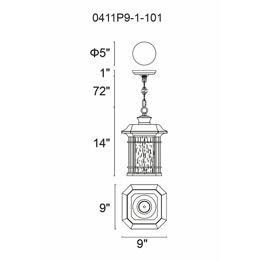 1 Light Outdoor Pendant, Black/Seedy