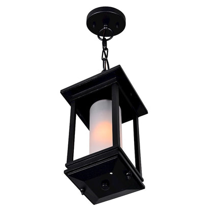 1 Light Outdoor Hanging Light, Black