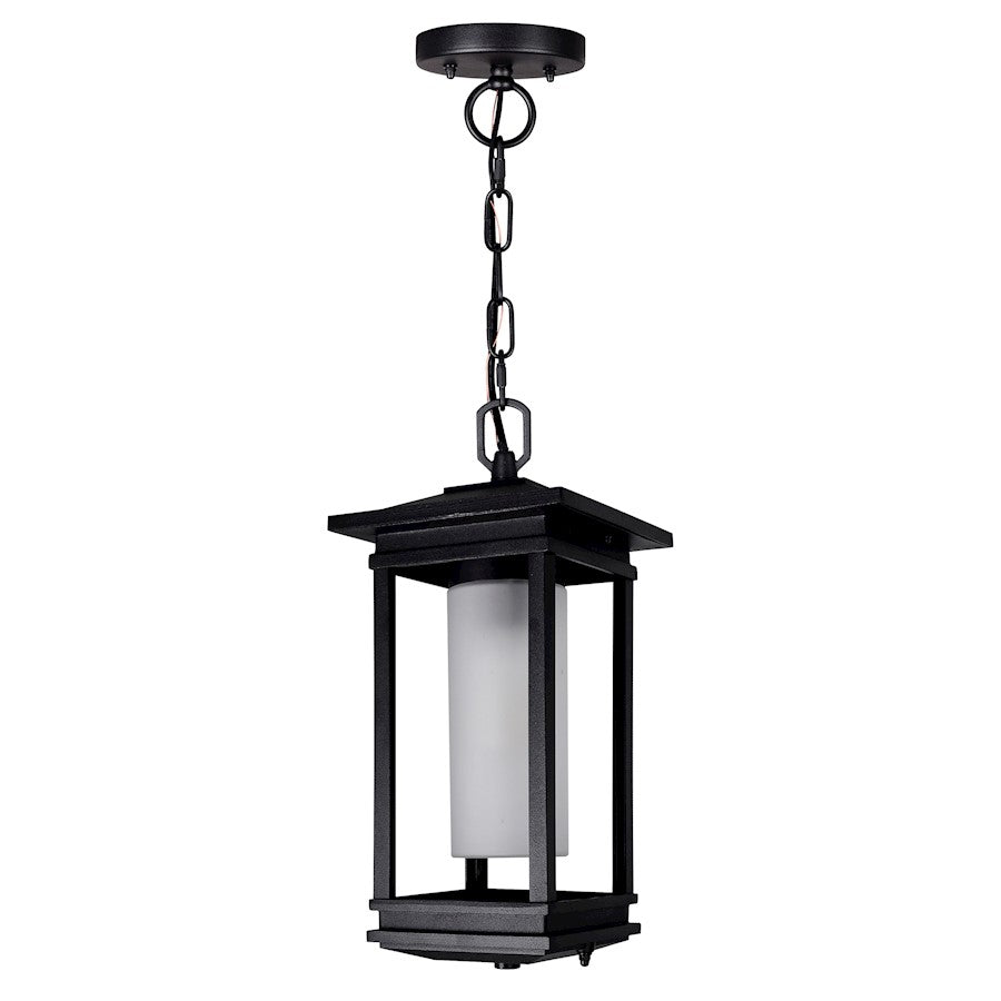 1 Light Outdoor Hanging Light, Black