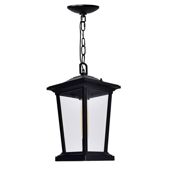 CWI Lighting Leawood 1 Light Outdoor Hanging Light, Black/Clear
