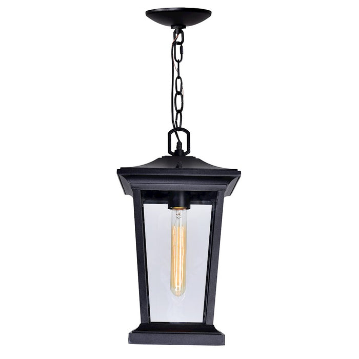 CWI Lighting Leawood 1 Light Outdoor Hanging Light, Black/Clear