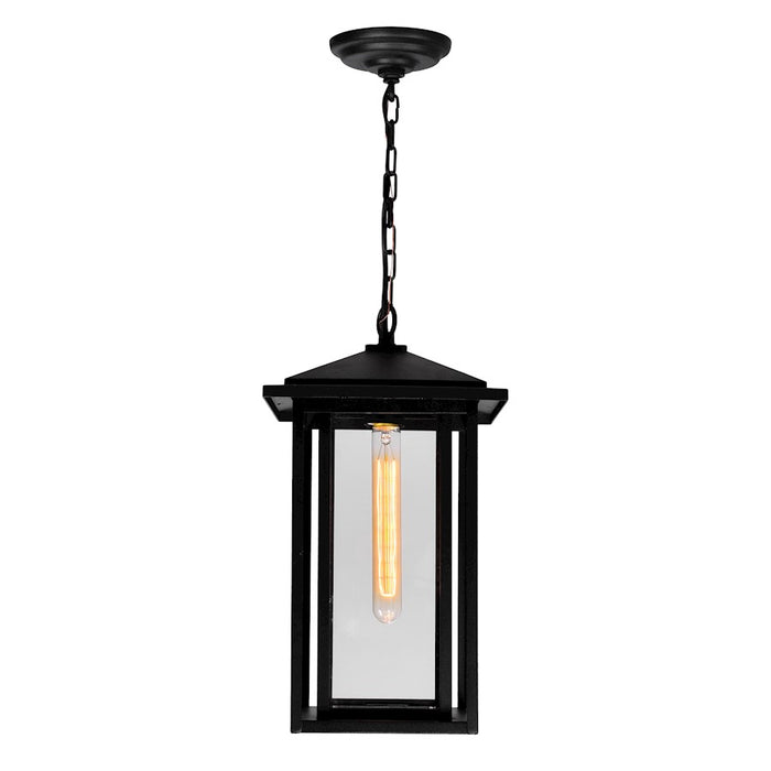 CWI Lighting Crawford 1 Light Outdoor Hanging Light, Black/Clear