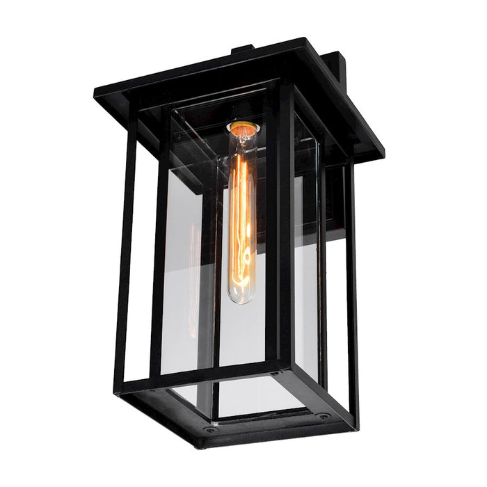 CWI Crawford 1 Light 18"H Outdoor Wall Light, Black/Clear
