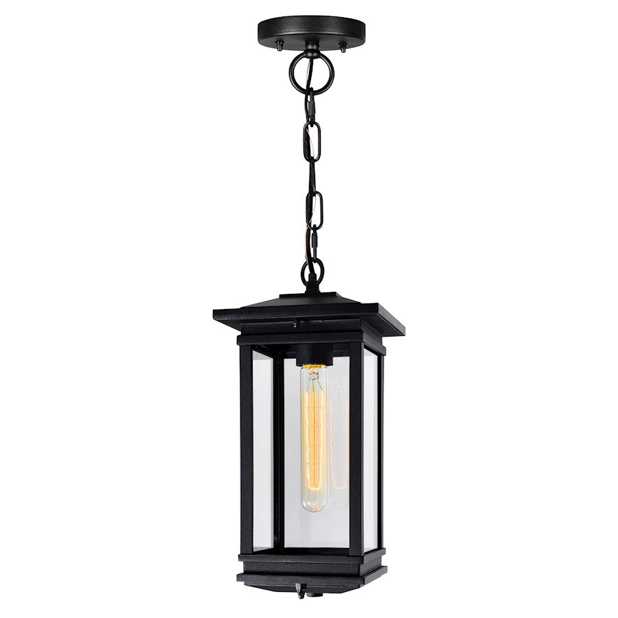 CWI Lighting Oakwood 1 Light Outdoor Pendant, Black/Clear - 0422P7-1-101