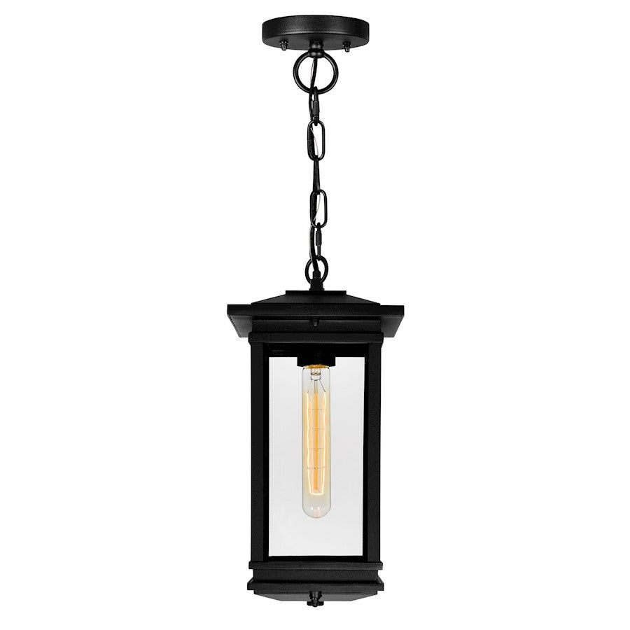 1 Light Outdoor Pendant, Black/Clear