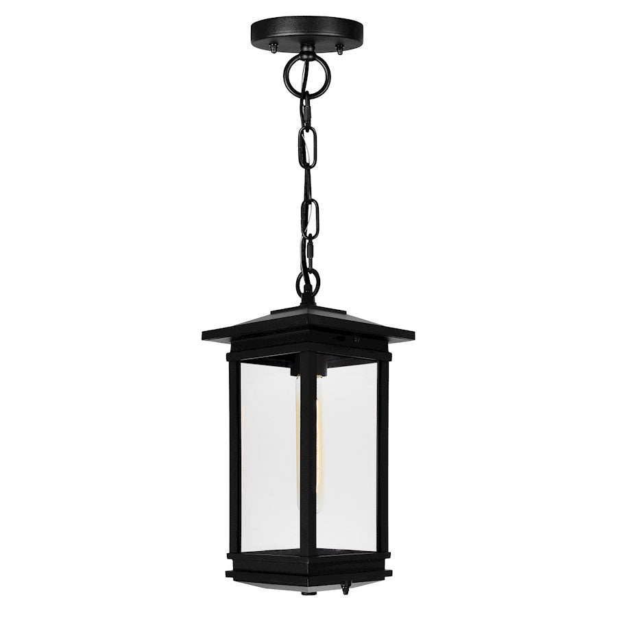 1 Light Outdoor Pendant, Black/Clear