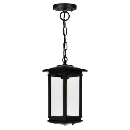 1 Light Outdoor Pendant, Black/Clear