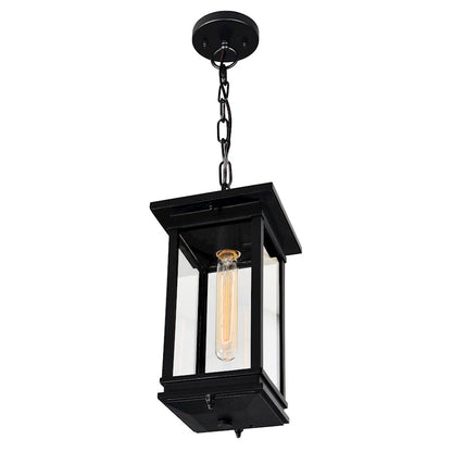 1 Light Outdoor Pendant, Black/Clear