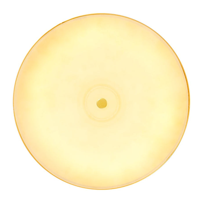 CWI Lighting Saleen 9" Mini Pendant, Sun Gold/Black