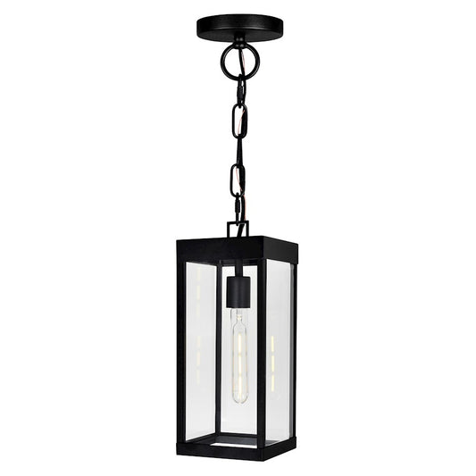 CWI Lighting Windsor 1 Light Outdoor Ceiling Light, Black/Clear - 1695P7-1-101