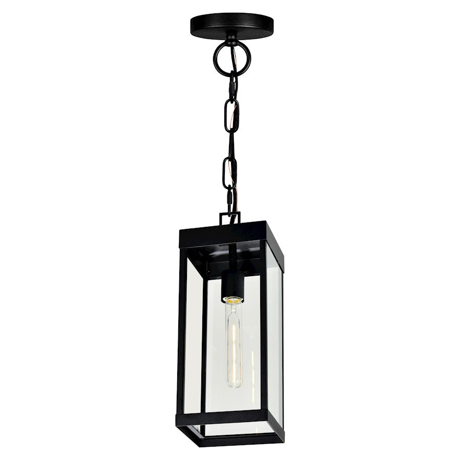 CWI Lighting Windsor 1 Light Outdoor Ceiling Light, Black/Clear