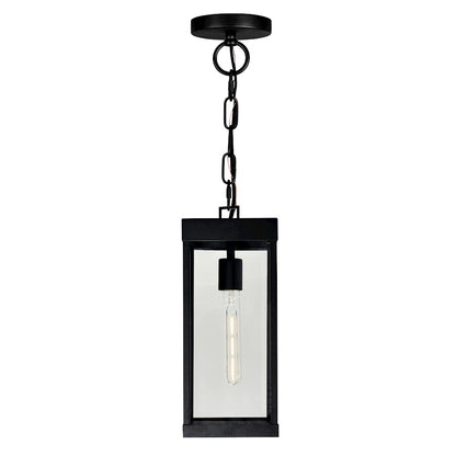 CWI Lighting Windsor 1 Light Outdoor Ceiling Light, Black/Clear