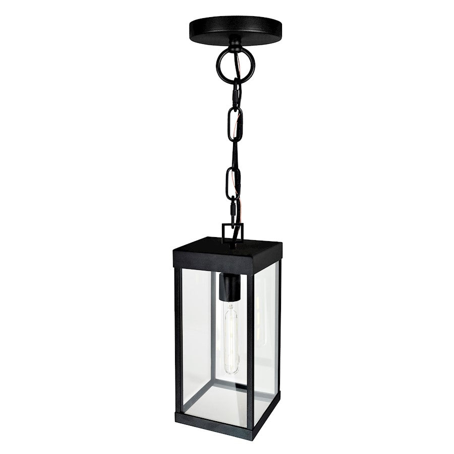 CWI Lighting Windsor 1 Light Outdoor Ceiling Light, Black/Clear