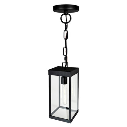 CWI Lighting Windsor 1 Light Outdoor Ceiling Light, Black/Clear