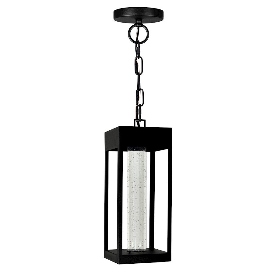 CWI Lighting Rochester Outdoor Ceiling Light, Black/Clear