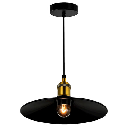 1 Light 10" Mini Pendant, Black