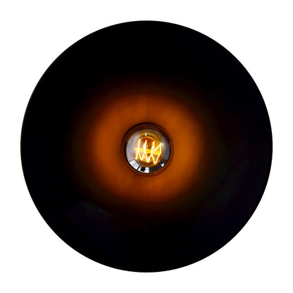 1 Light 13" Down Mini Pendant, Black