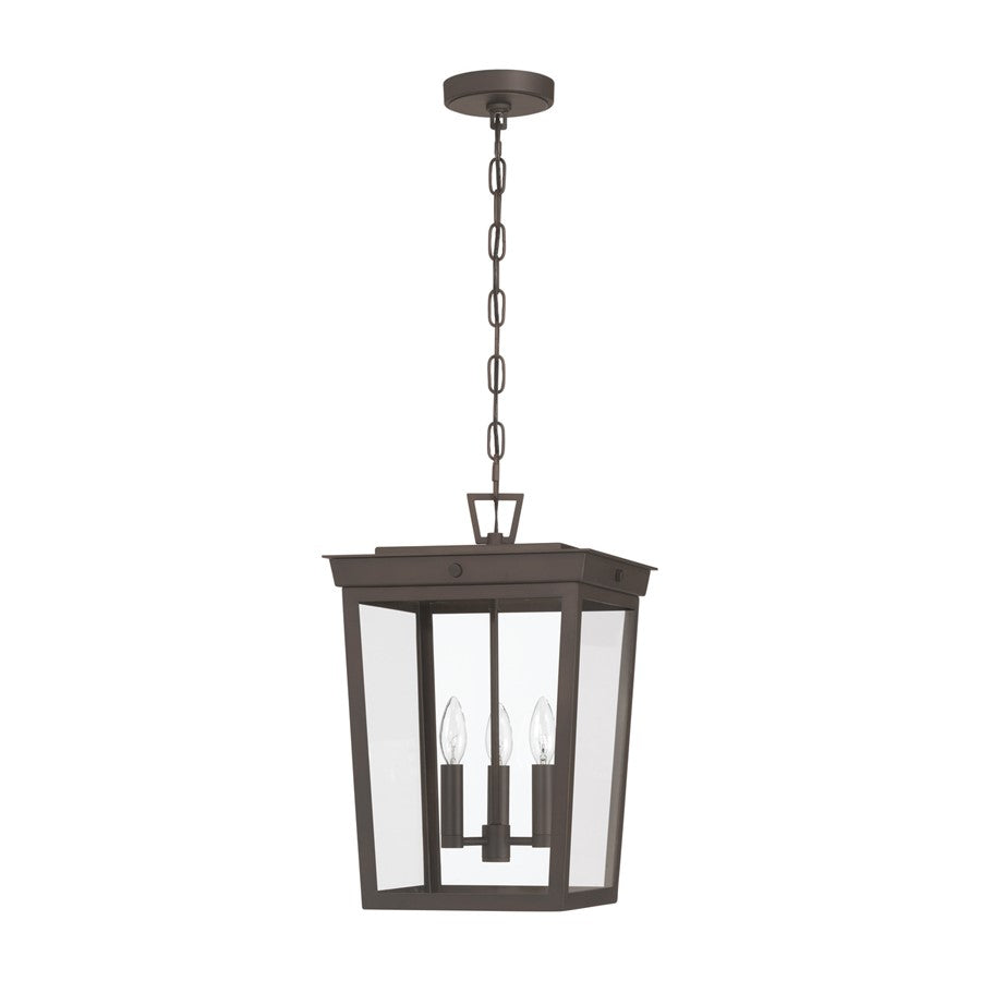 Crystorama Belmont 3 Light 12" Outdoor Pendant, Twilight Bronze