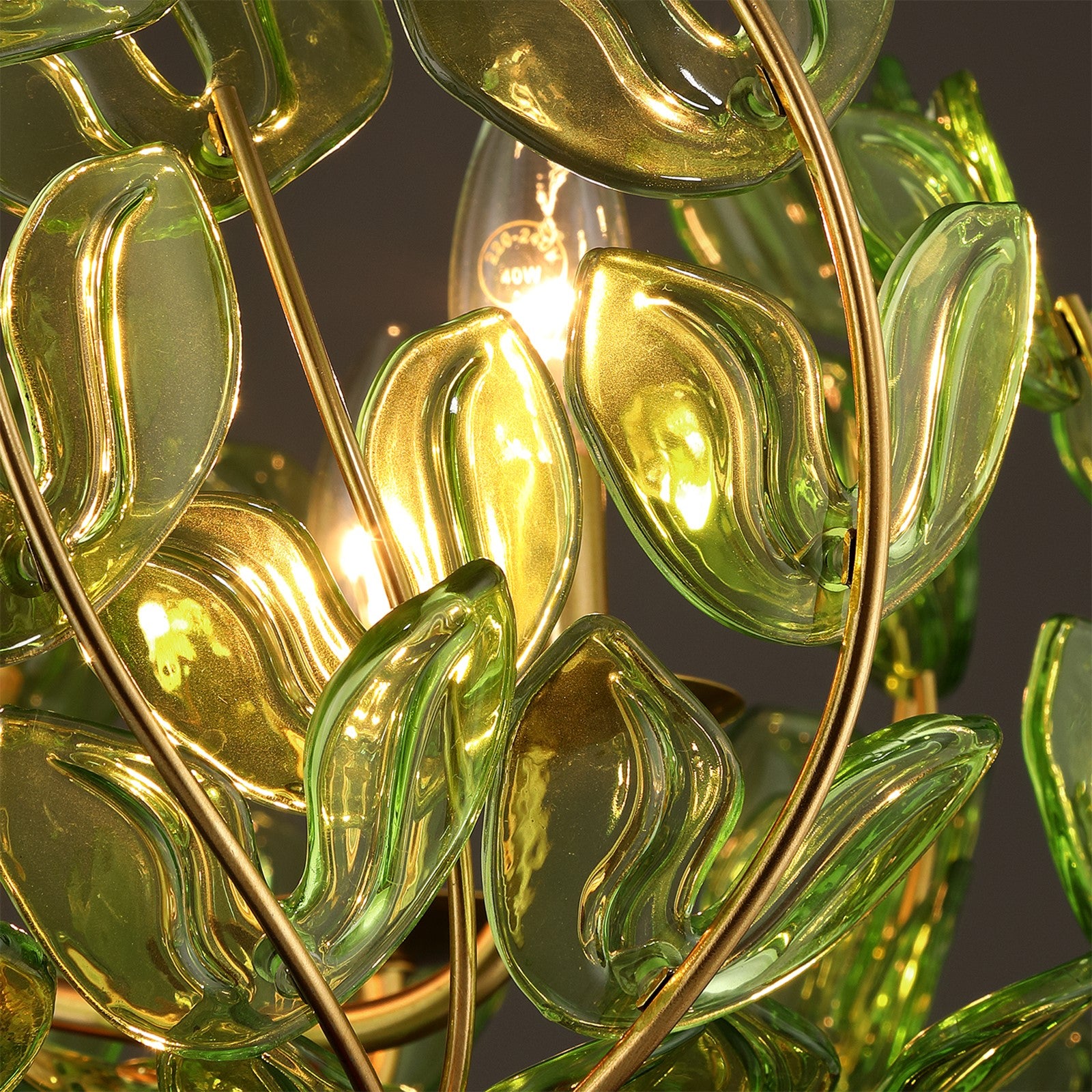 Crystorama Bridget 23.5in 5-Light Chandelier | Coastal Soft Gold Steel and Green Floral Glass | Dining Room & Entryway | 23.5 x 23.5 x 20 in | Model BGT-336-SG-GR