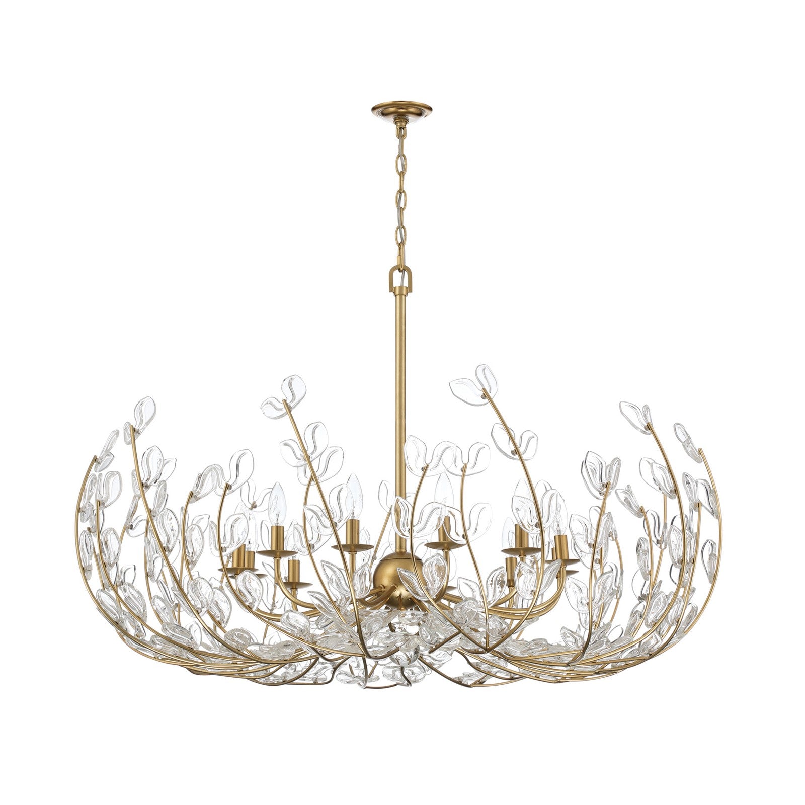 Crystorama Bridget 42in 12-Light Chandelier | Coastal Soft Gold Steel and Clear Floral Glass | Dining Room & Entryway | 42 x 42 x 27.5 in | Model BGT-339-SG-CL