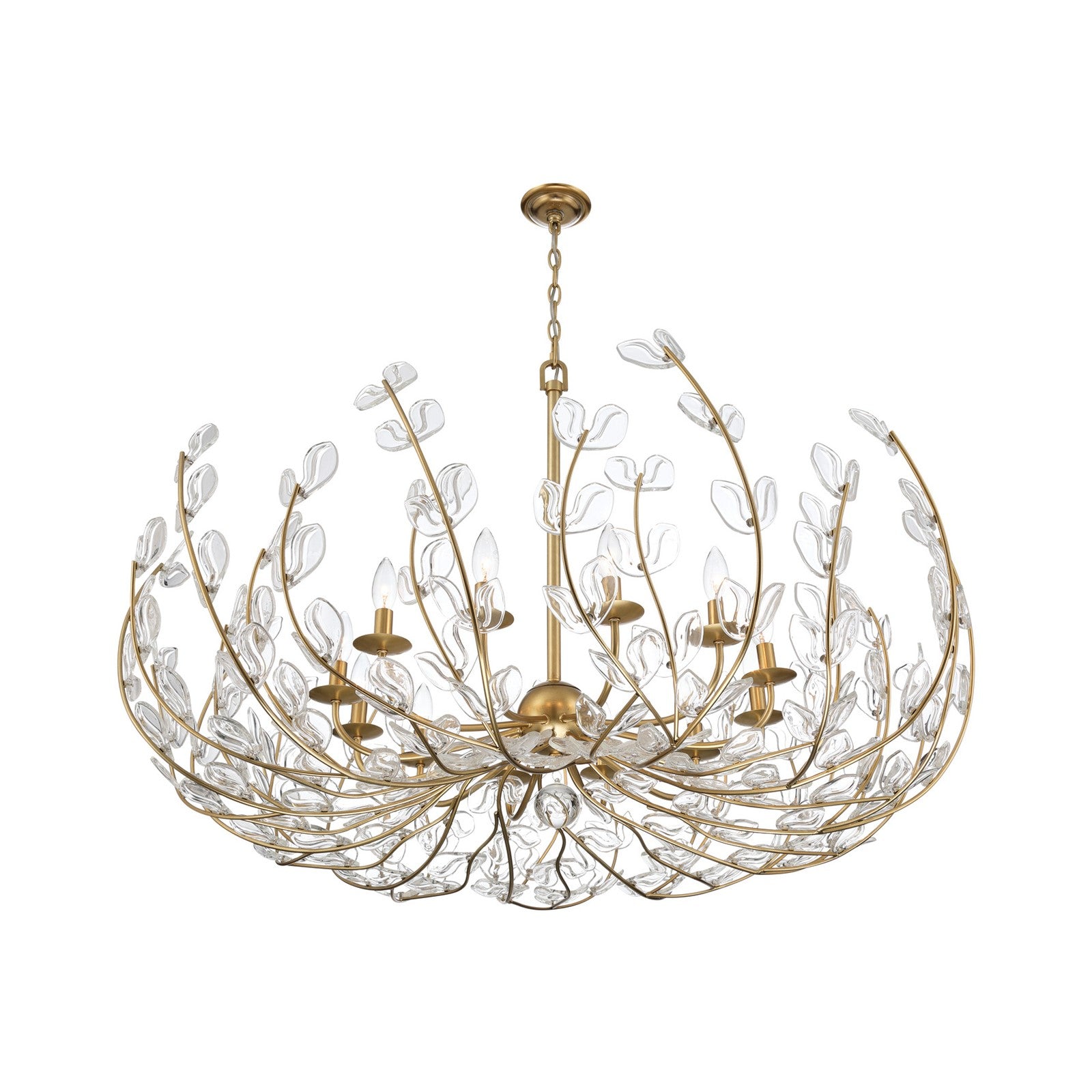 Crystorama Bridget 42in 12-Light Chandelier | Coastal Soft Gold Steel and Clear Floral Glass | Dining Room & Entryway | 42 x 42 x 27.5 in | Model BGT-339-SG-CL