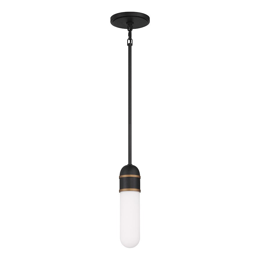 Crystorama Capsule 1 Light Mini Pendant, Black/Gold/White