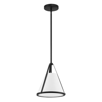 1 Light Pendant, Black/White