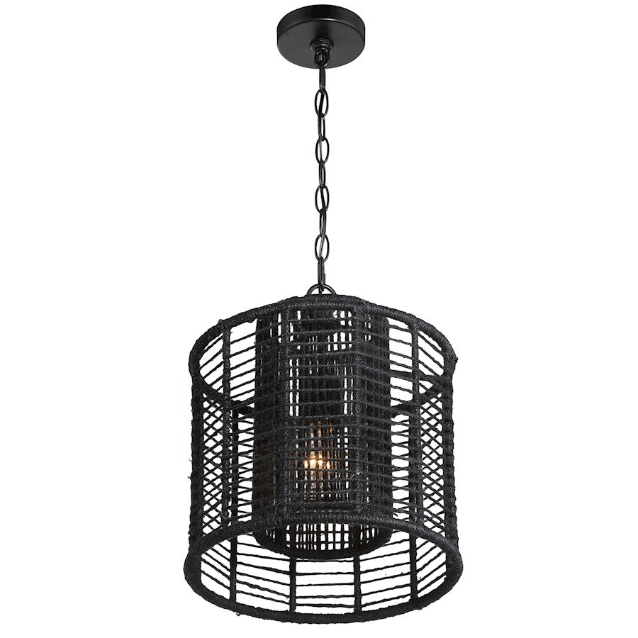 1 Light Pendant