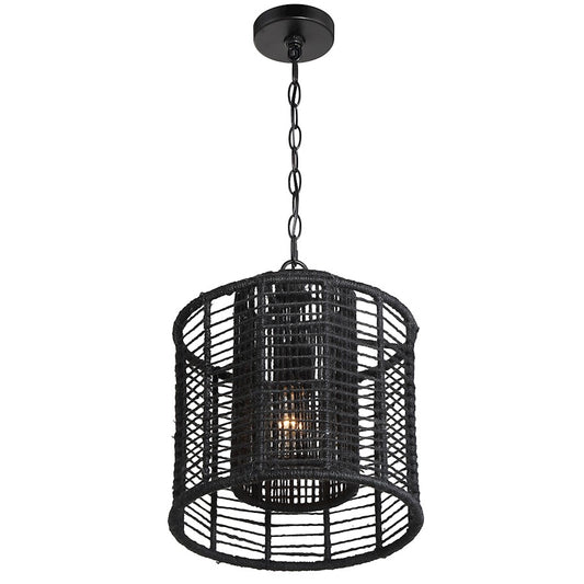 1 Light Pendant
