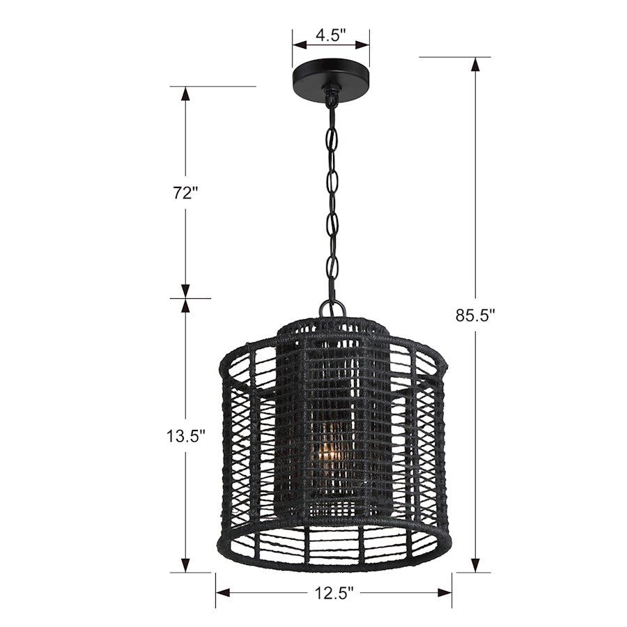 1 Light Pendant