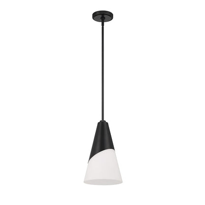 1 Light Pendant, Matte Black/Frosted