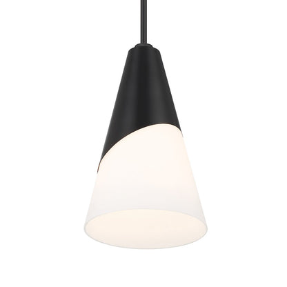 1 Light Pendant, Matte Black/Frosted