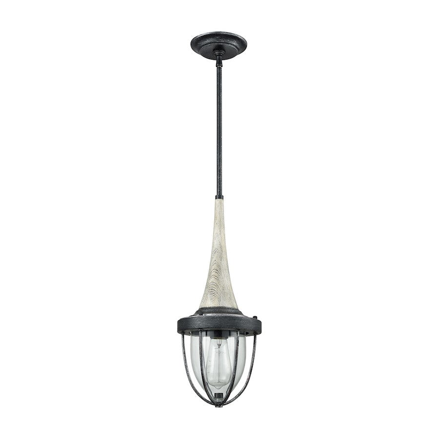 1 Light Mini Pendant, Clear