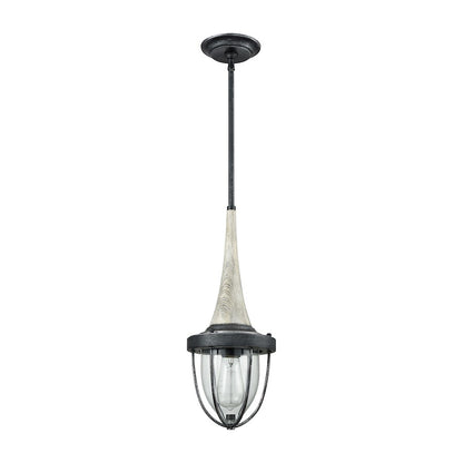 1 Light Mini Pendant, Clear