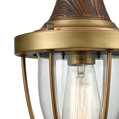 1 Light Mini Pendant, Clear
