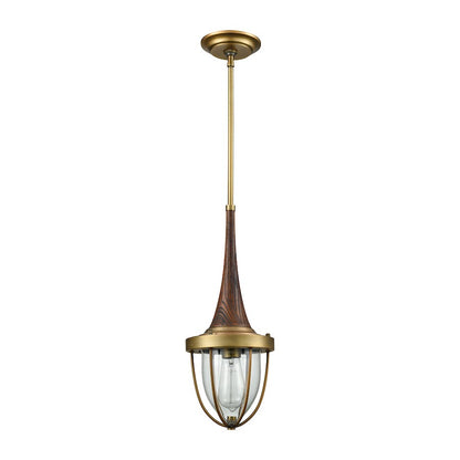 1 Light Mini Pendant, Clear