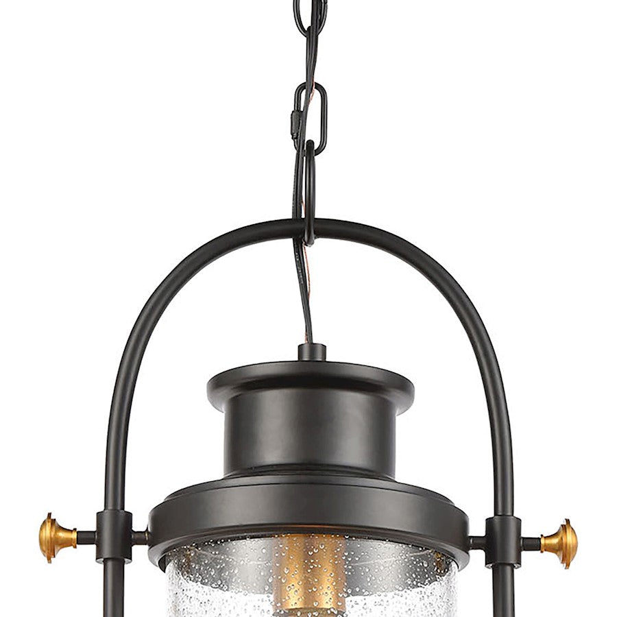 ELK Lighting Wexford 1-Light Hanging, Matte Black/Seedy Glass