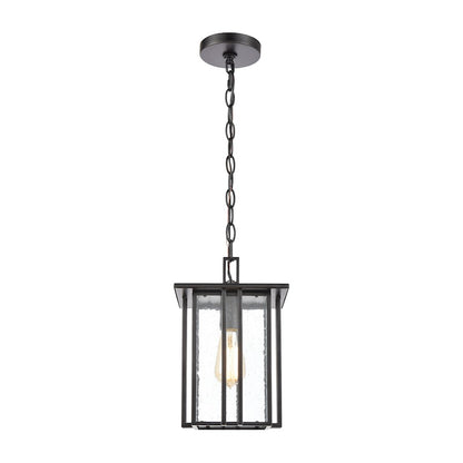 ELK Lighting Radnor 1-Light Hanging, Matte Black/Seedy Glass