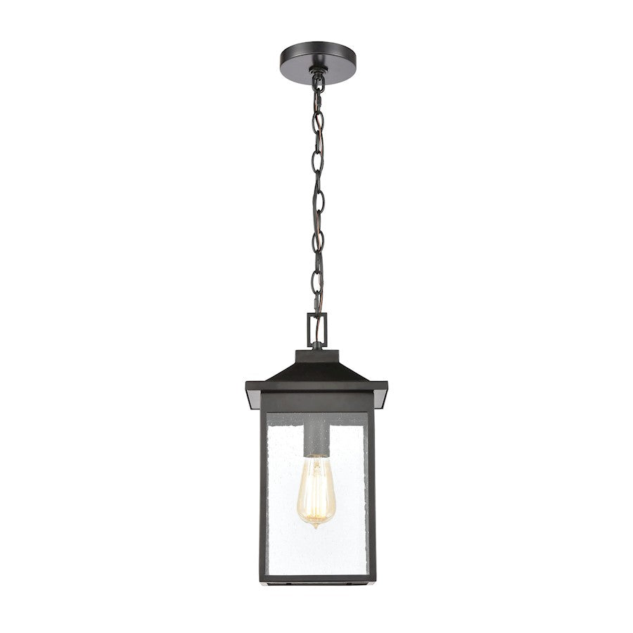 ELK Lighting Lamplighter 1-Light Hanging, Matte Black/Seedy Glass