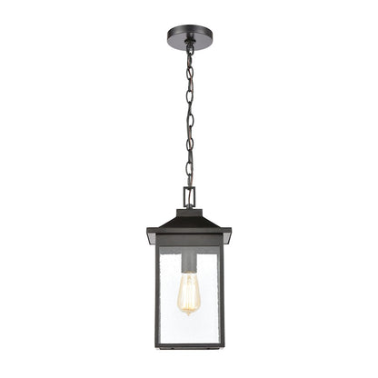 ELK Lighting Lamplighter 1-Light Hanging, Matte Black/Seedy Glass