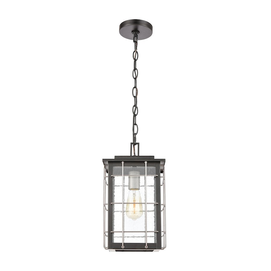 ELK Lighting Brewster 1-Light Hanging, Matte Black/Seedy Glass