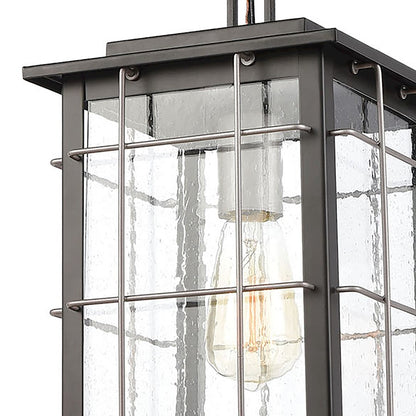 ELK Lighting Brewster 1-Light Hanging, Matte Black/Seedy Glass