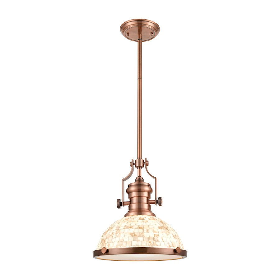 1 Light Pendant