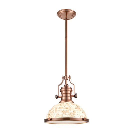 1 Light Pendant
