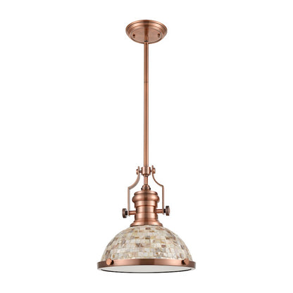 1 Light Pendant