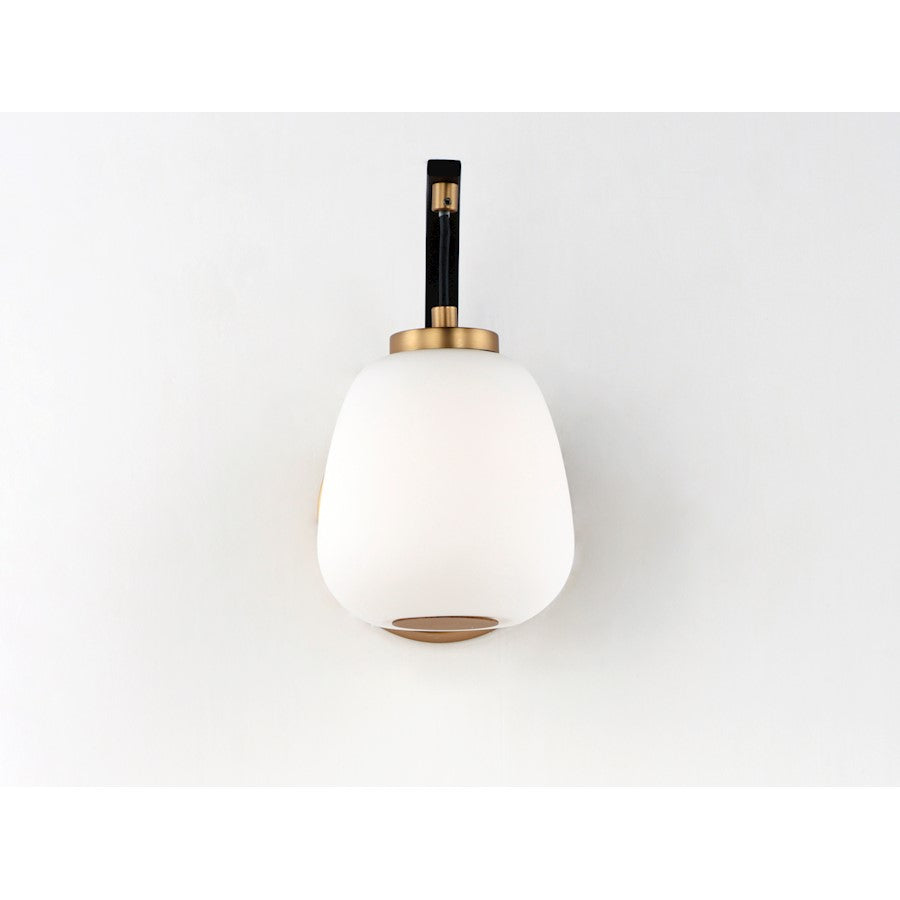 LED 1 Light Wall Sconce